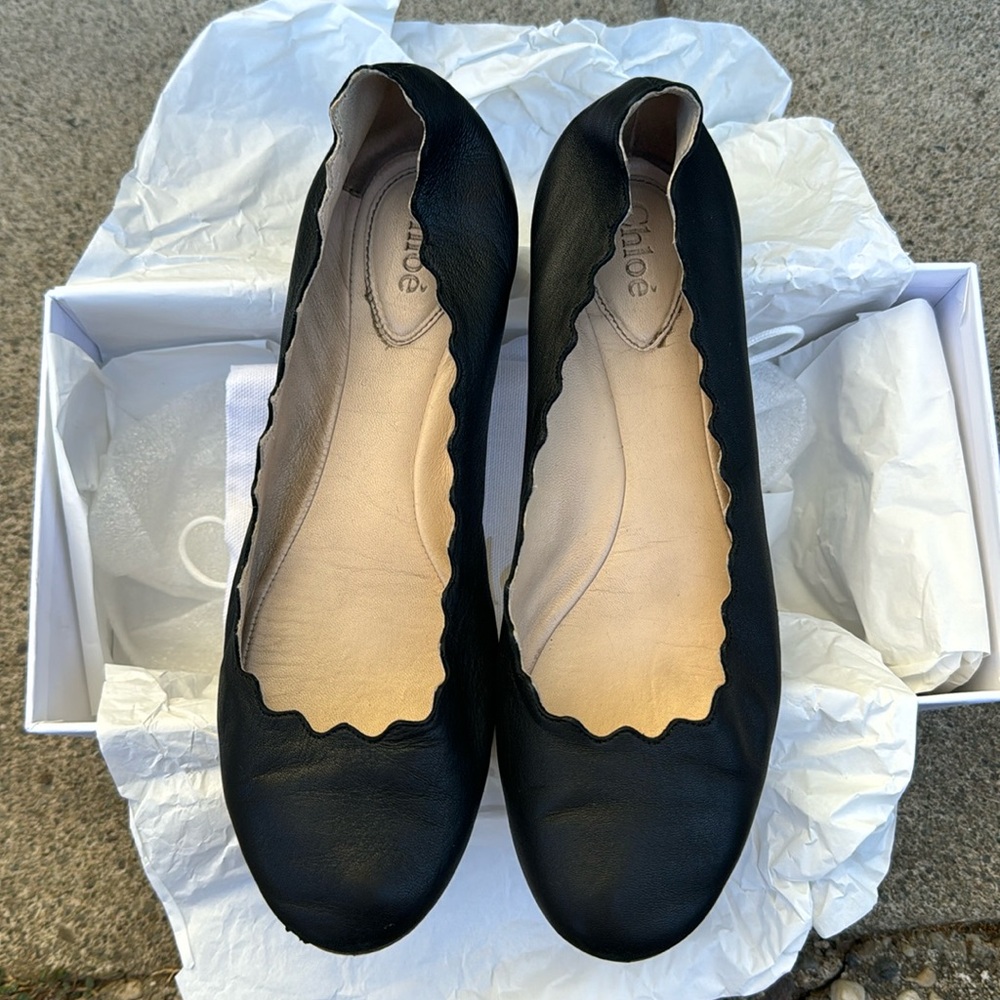 Authentic Chloe Castoro lamb size 37